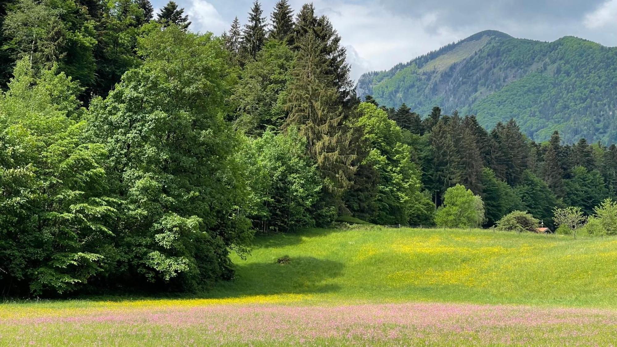 Laimgruber Hof - Naturresidenz ماركوارتستين المظهر الخارجي الصورة