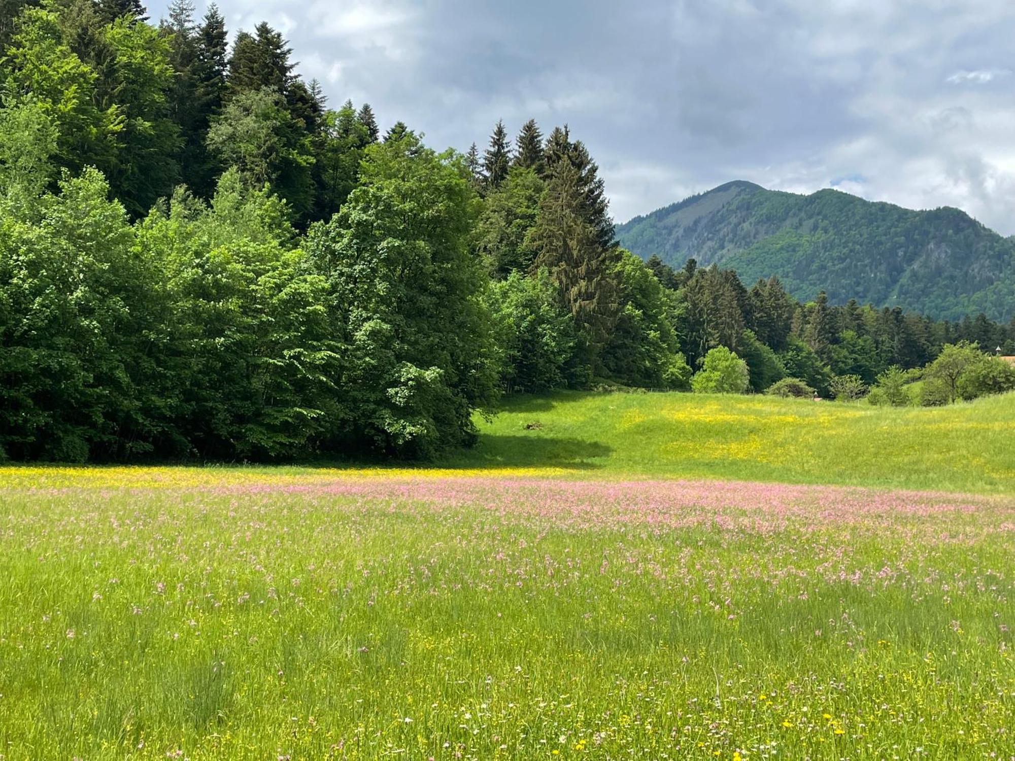Laimgruber Hof - Naturresidenz ماركوارتستين المظهر الخارجي الصورة